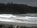 ./images/calvert/beach/20160225/beach20160225_130503.jpg
