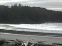 ./images/calvert/beach/20160227/beach20160227_124503.jpg