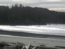 ./images/calvert/beach/20160227/beach20160227_125502.jpg