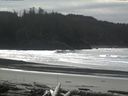 ./images/calvert/beach/20160227/beach20160227_130502.jpg