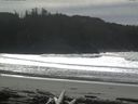 ./images/calvert/beach/20160227/beach20160227_131001.jpg