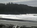 ./images/calvert/beach/20160227/beach20160227_131502.jpg