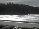 ./images/calvert/beach/20160227/beach20160227_132002.jpg