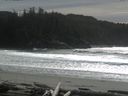 ./images/calvert/beach/20160227/beach20160227_141003.jpg