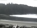 ./images/calvert/beach/20160228/beach20160228_120503.jpg