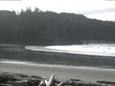 ./images/calvert/beach/20160228/beach20160228_122003.jpg