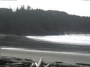 ./images/calvert/beach/20160228/beach20160228_123002.jpg