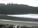 ./images/calvert/beach/20160228/beach20160228_123502.jpg