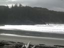 ./images/calvert/beach/20160228/beach20160228_130003.jpg