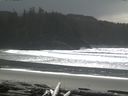 ./images/calvert/beach/20160228/beach20160228_133503.jpg
