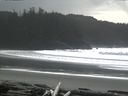 ./images/calvert/beach/20160228/beach20160228_134003.jpg