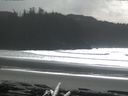 ./images/calvert/beach/20160228/beach20160228_134503.jpg