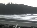 ./images/calvert/beach/20160228/beach20160228_140003.jpg