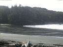 ./images/calvert/beach/20160229/beach20160229_113501.jpg