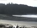 ./images/calvert/beach/20160229/beach20160229_114002.jpg