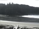 ./images/calvert/beach/20160229/beach20160229_122003.jpg