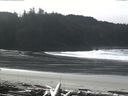 ./images/calvert/beach/20160229/beach20160229_123001.jpg
