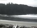 ./images/calvert/beach/20160229/beach20160229_123501.jpg