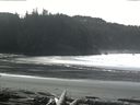 ./images/calvert/beach/20160229/beach20160229_124501.jpg