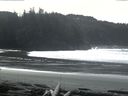 ./images/calvert/beach/20160229/beach20160229_125002.jpg