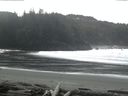 ./images/calvert/beach/20160229/beach20160229_125502.jpg