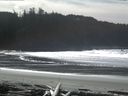 ./images/calvert/beach/20160229/beach20160229_130501.jpg