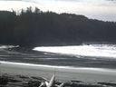 ./images/calvert/beach/20160229/beach20160229_131003.jpg