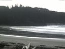 ./images/calvert/beach/20160229/beach20160229_132002.jpg