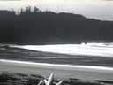 ./images/calvert/beach/20160229/beach20160229_132503.jpg