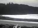 ./images/calvert/beach/20160229/beach20160229_133502.jpg