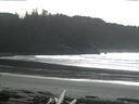 ./images/calvert/beach/20160229/beach20160229_135003.jpg