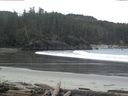 ./images/calvert/beach/20160301/beach20160301_103002.jpg
