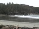 ./images/calvert/beach/20160301/beach20160301_105503.jpg