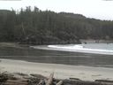 ./images/calvert/beach/20160301/beach20160301_115502.jpg