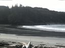 ./images/calvert/beach/20160302/beach20160302_113002.jpg