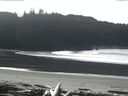 ./images/calvert/beach/20160303/beach20160303_122501.jpg