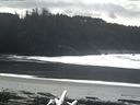 ./images/calvert/beach/20160303/beach20160303_133503.jpg