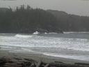 ./images/calvert/beach/20160304/beach20160304_080503.jpg