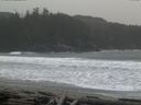 ./images/calvert/beach/20160304/beach20160304_085502.jpg