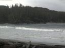 ./images/calvert/beach/20160305/beach20160305_091003.jpg