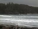 ./images/calvert/beach/20160305/beach20160305_100502.jpg