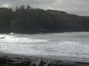 ./images/calvert/beach/20160305/beach20160305_110003.jpg
