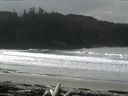 ./images/calvert/beach/20160305/beach20160305_121501.jpg
