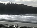 ./images/calvert/beach/20160305/beach20160305_123503.jpg