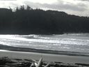 ./images/calvert/beach/20160305/beach20160305_124003.jpg