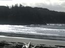 ./images/calvert/beach/20160305/beach20160305_125003.jpg