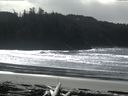 ./images/calvert/beach/20160305/beach20160305_125503.jpg