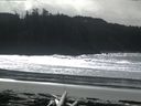 ./images/calvert/beach/20160305/beach20160305_130003.jpg