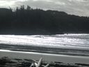 ./images/calvert/beach/20160305/beach20160305_131003.jpg