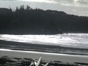 ./images/calvert/beach/20160305/beach20160305_131503.jpg